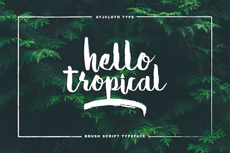 hello-tropical