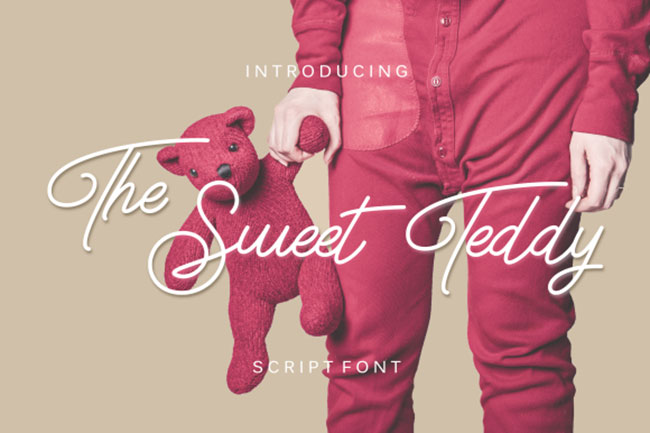 the-sweet-teddy