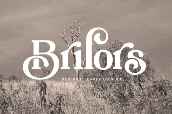 brilors-font