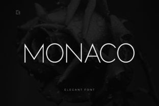 monaco-font