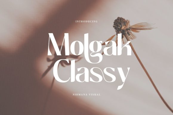 molgak-classy-font