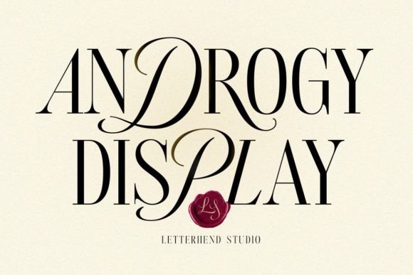 androgy-display-font