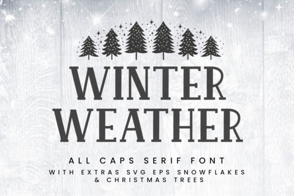 winter-weather-font