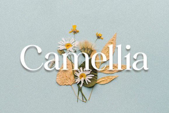 camellia-font