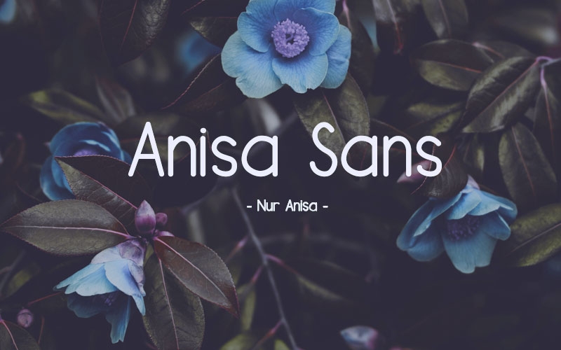 anisa-sans