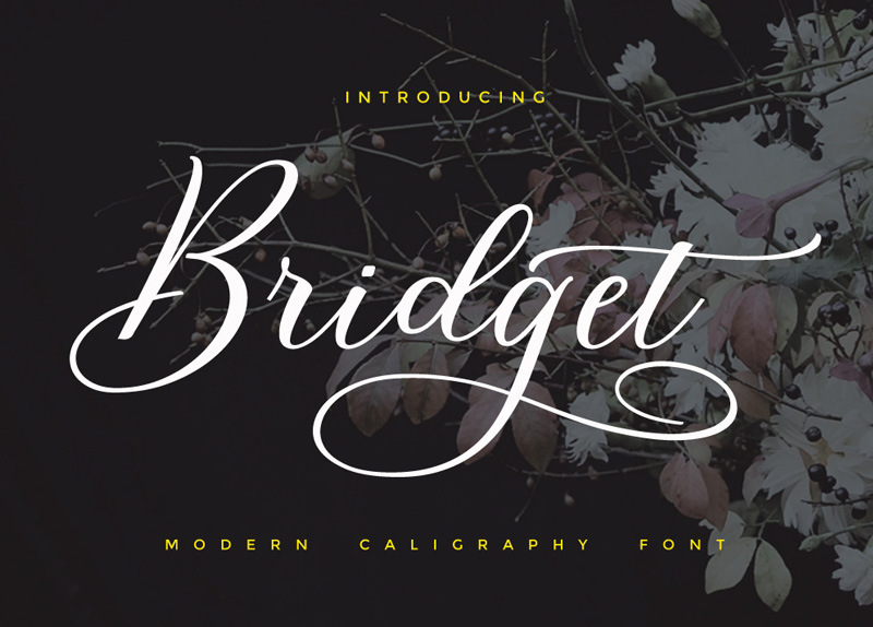 bridget-script