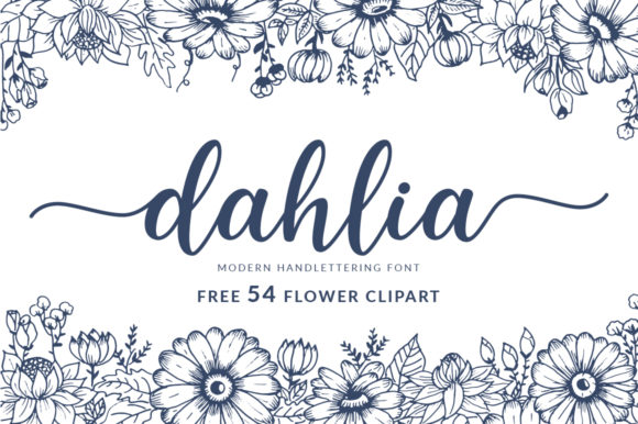 dahlia