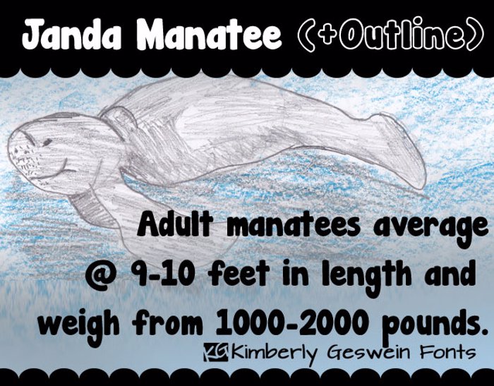 janda-manatee