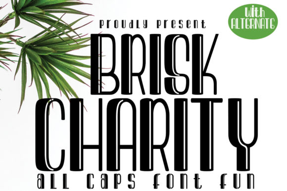 brisk-charity