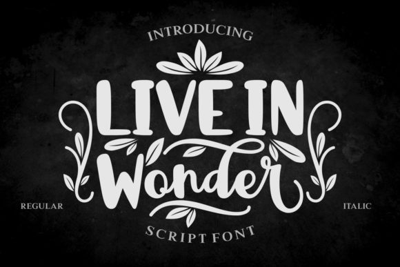 live-in-wonder