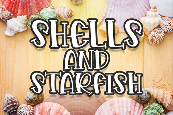 shells-and-starfish
