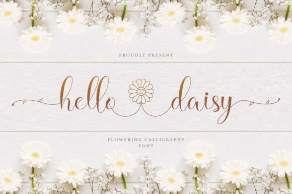 hello-daisy