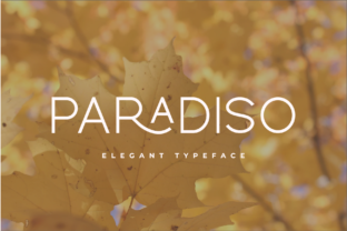 paradiso-font