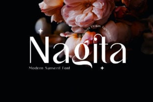 nagita-font