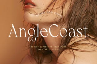angle-coast-font