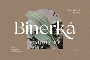 binerka-font