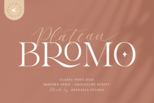 bromo-plateau-font