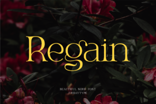 regain-font