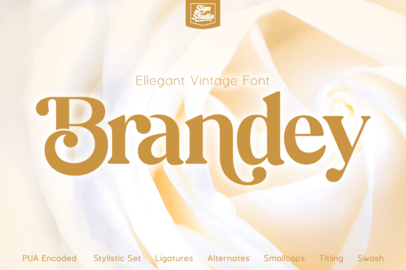 brandey-font