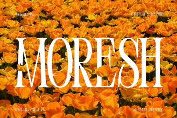 moresh-font