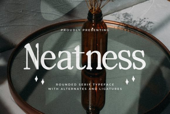 neatness-font