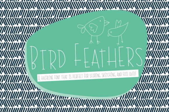 bird-feathers-font